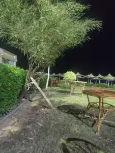 Magic Beach Hurghada - 18