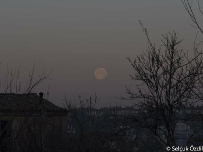 Otel Fiori- Urla - 16