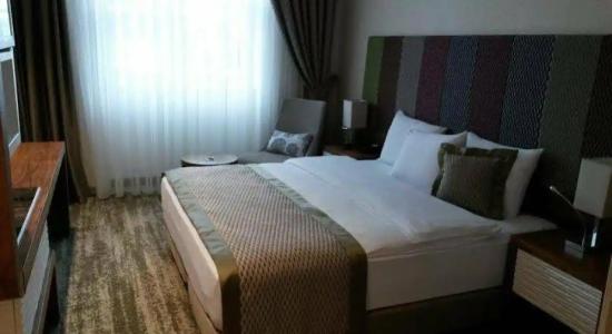 Ramada by Wyndham Gemli̇k - 8