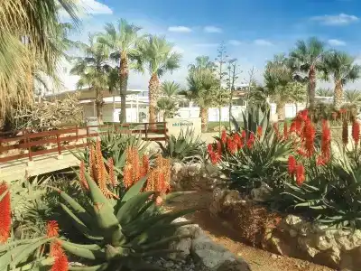 Akti Beach & Village Resort - 10