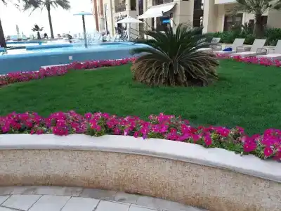 Marjan Island Resort & Spa Managed By Accor - 49