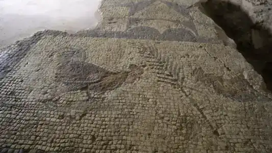 RuinAdalia - Adult Only - 68