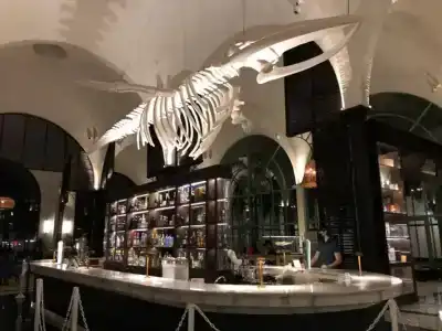 El Beso Adults Only At Ocean El Faro - All Inclusive - 68