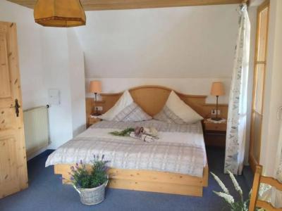 Blaue Gams ***S - 47