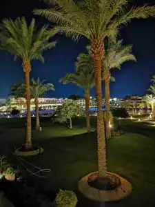 Beach Albatros Resort - 11