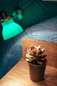 Villa Bougainville by Happyculture - 41