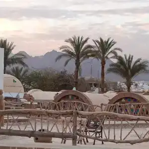 Amar Sina Boutique Egyptian Village - 33