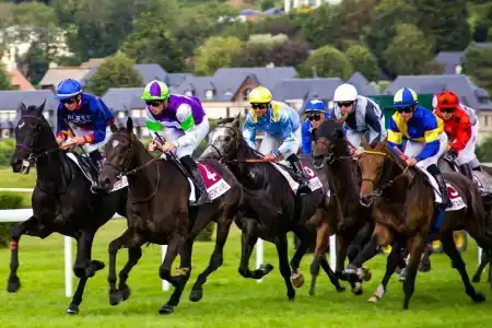 B&B Deauville-Touques - 2