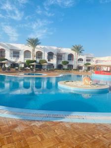 Domina Coral Bay Resort, Diving , Spa & Casino - 65