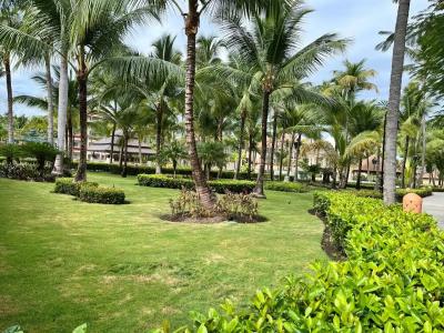 Majestic Colonial Punta Cana - All Inclusive - 22