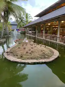 Iberostar Selection Bavaro Suites - 19