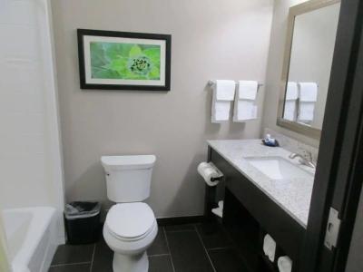 Best Western Plus Tech Medical Center Inn - 61