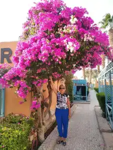 Giftun Azur Resort - 8