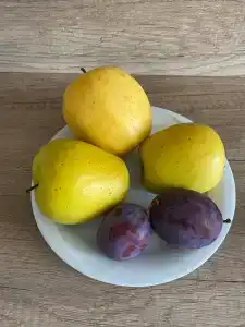 Kleopatra Melissa - 49