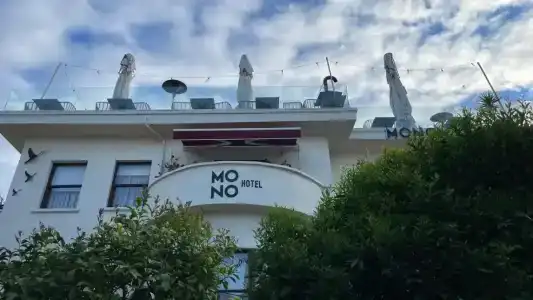 Mono - 8