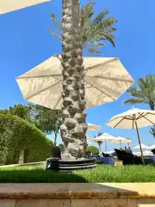 Ajman Saray, a Luxury Collection Resort, Ajman - 48