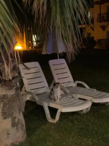 Club Marco Polo - Premium All Inclusive - 53