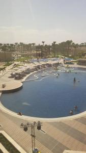 Beach Albatros Resort - 63