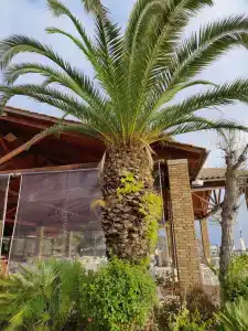 Kontokali Bay Resort & Spa - 18