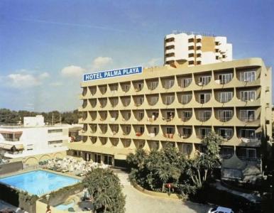 Vibra Palma Cactus - 4