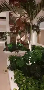 Serenade Punta Cana Beach & Spa Resort - 58