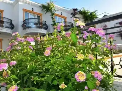 Tropicana Beach - 13