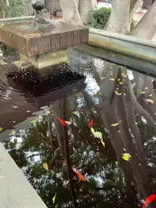 Belcekiz Beach Club - All Inclusive - 84