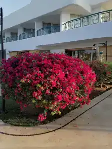 Novotel Sharm El-Sheikh - 18