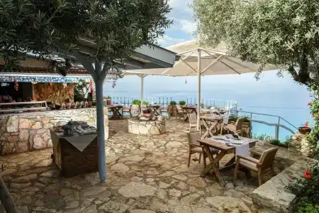 Beyaz Yunus - Adult Only - 50