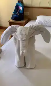 Kleopatra Dreams Beach - 19