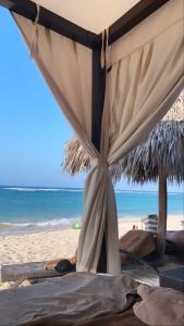 Royalton Punta Cana, An Autograph Collection All-Inclusive Resort & Casino - 67