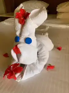 Charmillion Club Resort - 56