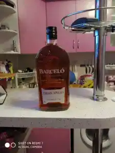 Serenade Punta Cana Beach & Spa Resort - 37