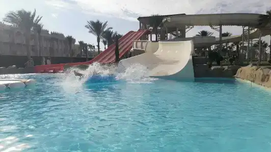 Beach Albatros Resort - 25