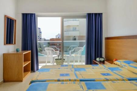 Vibra Palma Cactus - 8