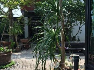Rayonghouse Resort - 9