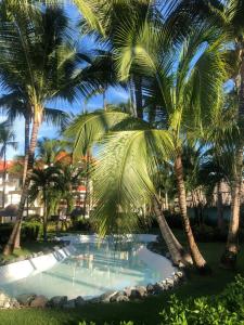 Majestic Colonial Punta Cana - All Inclusive - 0