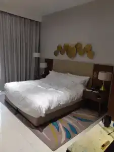 Holiday Inn Dubai Al-Maktoum Airport - 92