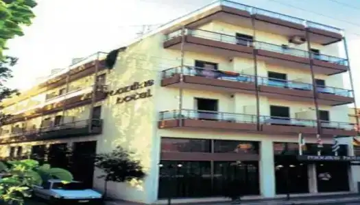 Mouikis Kefalonia - 5