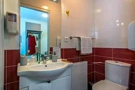 Anne De Bretagne - 45