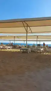 Tuı Magic Life Jacaranda - 87