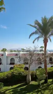 Royal Savoy Sharm El Sheikh - 75