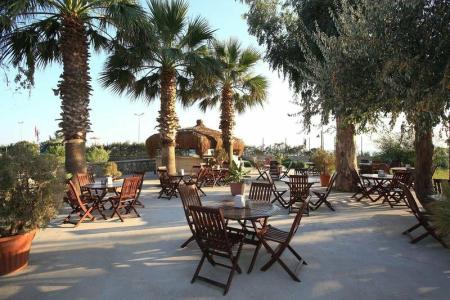 Club Cactus Paradise - 40