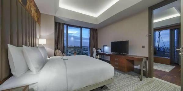 Hilton Garden Inn Istanbul Airport - 88