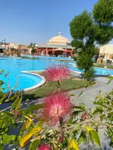 Pickalbatros Jungle Aqua Park - Neverland Hurghada - 28