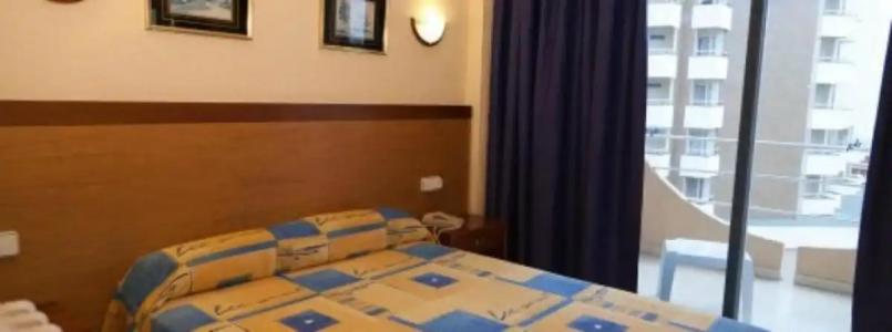 Vibra Palma Cactus - 67