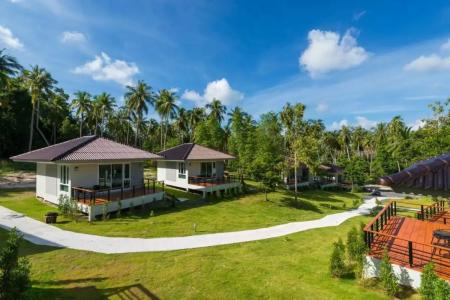 Phangan Akuna - 50