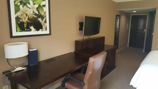 Sheraton Orlando North - 47