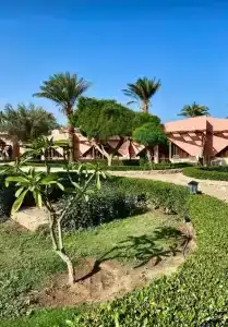 Paradise Abu Soma Resort - 26