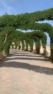 Aurora Bay Resort Marsa Alam - 3